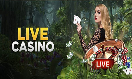 7 Tips Terbaik Untuk Bermain Live Casino Online